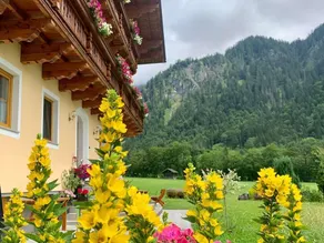 Alpen Appartements Oberlehengut - keine Haustiere - allergikerfreundlich - Image 4