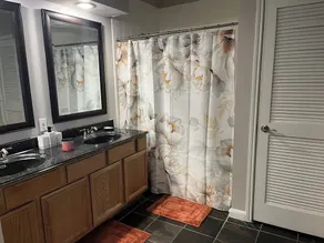 Apartment in Houston galleria mall area  - Image 4