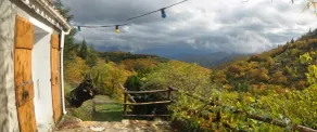Old, renovated Cévennes farmhouse dependence on a wild and privileged site - Image 5