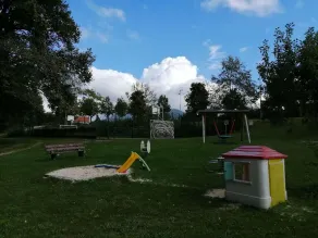 Begonie - Image 4