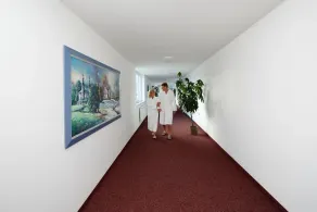 Comfort apartment with fully equipped kitchen - Image 5