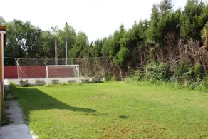 Entre laranjeiras, fazenda rural - Image 2
