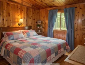 Haliburton Lakefront pour 12 personnes - Carnarvon - Image 4