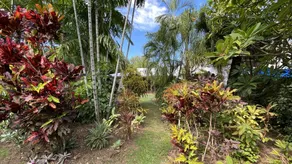 Melita is a historical cottage in Arcadia - Image 4