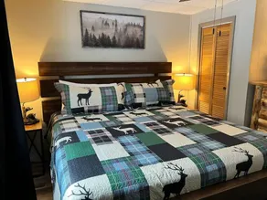 Fall Getaway Camp Buckshot: Sleeps 5 · 2BR 1BA · Hot Tub Fire Pit Fireplace - Image 4