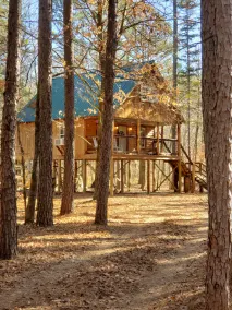 Cabin overlooking creek close to National Forrest a great place to relax - Image 5