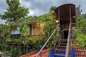 Munkudil Yoga and Ayurveda Retreat - Image 5