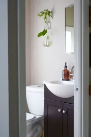 Charming farmhouse suite near Dunedin - Image 5