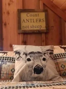 Log Cabin Escape at D~Oasis Ranch - Image 5