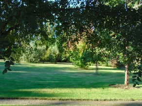 Malerische Lage im Willamette Valley; Friedliches Land Retreat - Image 5