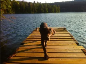 Perfekt Lakeside Getaway - Craigs Pond Cabin (45m vom Acadia National Park) - Image 2