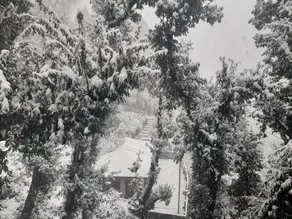 Love Kush Cottage - Image 2