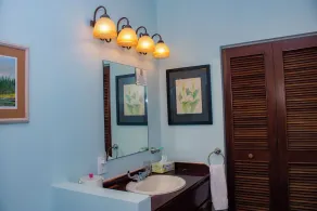 Queen-size bed, with a private bathroom, a walk-in shower and closet. - Image 3