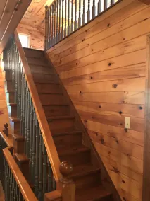 Our Favourite Place on Earth: Muskoka Treetop on the Water - Image 3