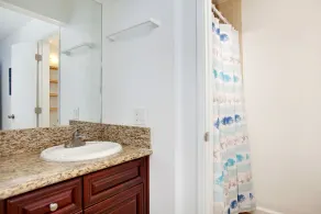 STEGAR TILL SAND REMODELED CONDO - Image 3