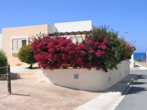 Luxurious Beach Villa with Sea Views and Stunning Location - Image 5