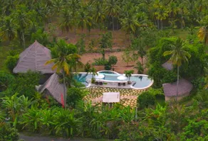 Room on the Real Tree - Image 4