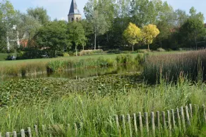 Holiday apartment in Middelkerke - Image 5