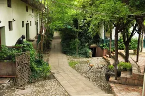 Ratiu House - Image 5