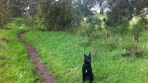 2 BR Lottie Cottage, Family Farmstay, petfriendly Rural Retreat Albury-Wodonga - Image 2