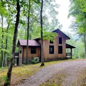 Secluded ridge   top wilderness retreat with fast wifi and all the comforts - Image 5