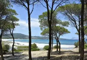 Casa de campo con jardín, zona tranquila con hermosas vistas al mar y Tavolara - Image 4
