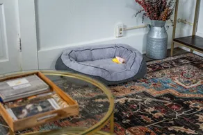 Cedar Blossom Bungalow is a cozy getaway with a 5 minute walk to downtown! - Image 3
