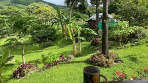 Casa Cacique 2026 NEWLY Re-Opened and Managed- surrounded by nature and beauty - Image 5