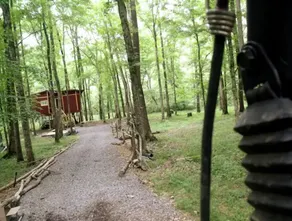 Summertime and the living is easy at the bearclaw  - Image 5