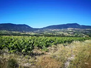 Le Cigalou - Drôme Provencale - Image 4
