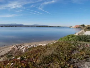 Hus i Port-Leucate 500 m fra stranden. Meget rolig. garage, have 4 soveværelser - Image 5