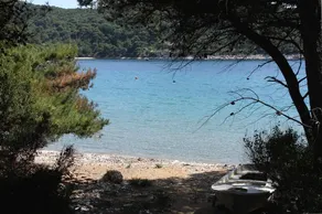 Appartamento di una stanza con terrazzo Baia Saplunara, Mljet (A-4923-a) - Image 3