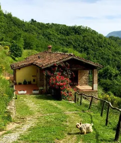 Toskanisches Bauernhaus in den Hügeln mit atemberaubender Aussicht und Pool - in der Nähe von Barga, Castelnuovo - Image 2