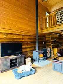 Dog friendly • 100 acres of private woods • hiking trails • sleeps 8 • play set  - Image 3
