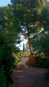 Maison mmm - Image 4