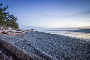 Relaxing beachfront setting to watch wildlife and tides!  Kayaks & fun included! - Image 5