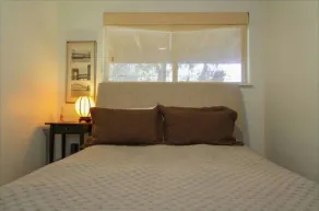 Mid-Century-Modern Garden Level Apartment - Image 5