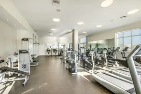 Luxury Condo Located Near Restaurants, Theaters & Beaches. - Image 3