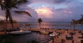 Luxurious Caribbean 2 Bedroom 2 Bath Home - Image 4
