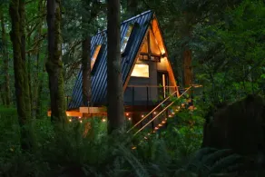 The Treeframe Cabin- Hot Tub + Sauna + Cold Plunge - Image 5