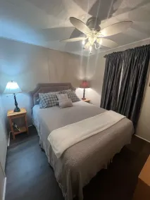 The BEST Pet friendly Sylva NC Mountain Retreat Near WCU and downtown❤️ - Image 5