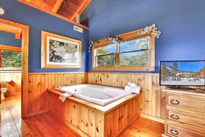Mystic- Situated in a very private wooded setting with great mountain views!! - Image 4