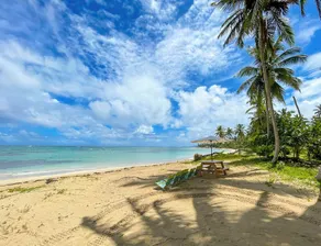Beach Villa in El Portillo Sleeps 12 - Image 5