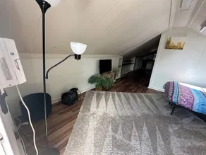 Cozy-Cute-Very Safe one bedroom ￼Treetop apt in East Nashville - Image 3