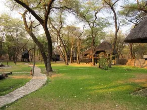 The Tree Lodge at Sikumi - Image 4