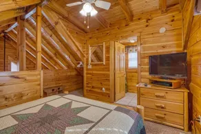 2b2b Cozy Cabin-Walking distance to Parkway! 208 - Image 3