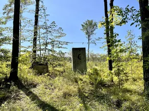 Off grid solar a-frame cabin Northwoods Farm Stay Hundreds of Acres to Explore - Image 4