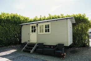 Den tætske, LONGTOWN - Image 5