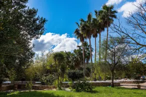 VILLA CAN FITA- Charming private villa with pool, free fast WIFI and air conditioning. Close to the city of Ibiza. - Image 4