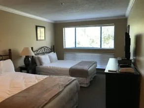 Spacious Whistler/Blackcomb Chalet style Ski-in Ski-out 2 bed rm & loft Apt. - Image 3
